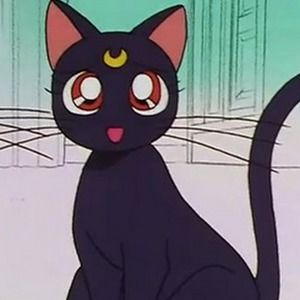 Meet your Posher, Leo